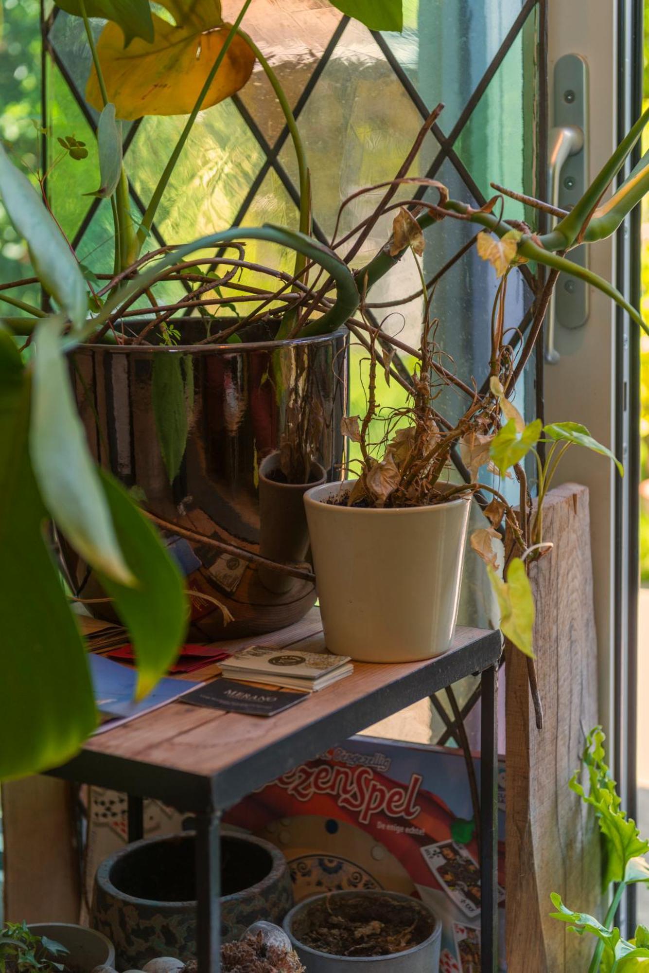 Tiny House - Leenfietsen, Eigen Keuken En Badkamer 네이메헨 외부 사진